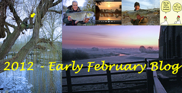 2012 – Early February Blog