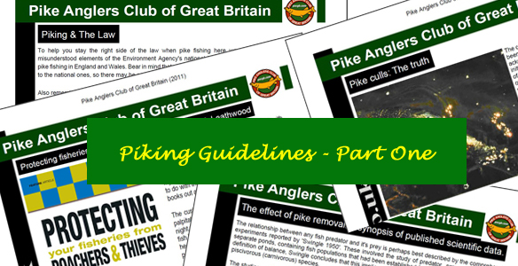 Piking Guidelines – Part One