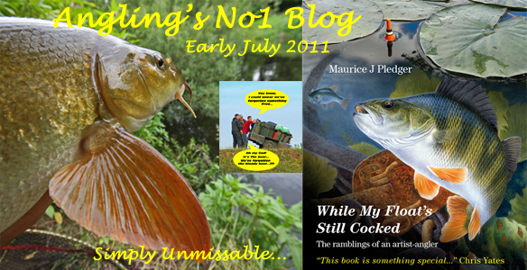 2011 – Early July Blog